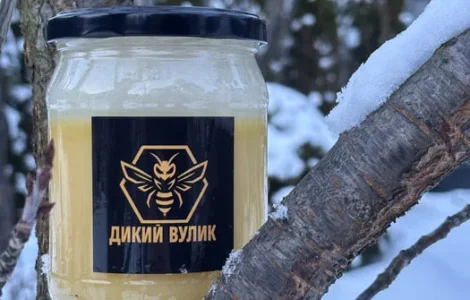 Мед подсолнечный домашний