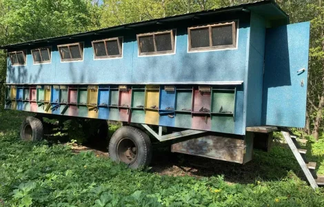 Продам пчелопавильон (Апидомик)