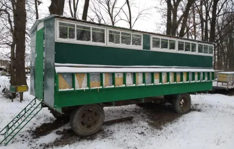 Пчелопавильон!
