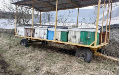 Пасека на колесах, Пчелопавильон.