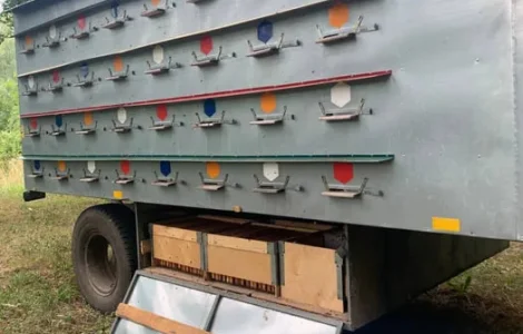 Продам теміново Бжоло Бізнес, Бджолопавільон