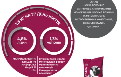 AVA RABBIT MIX 5% - Премікс для кролі