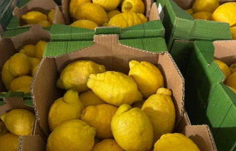 Продаж лимона з Іспанії