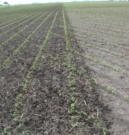 Цільнорамна ротаційна борона мотига JOHN DEERE 400 Джон Дір з тележкою - фото № 11