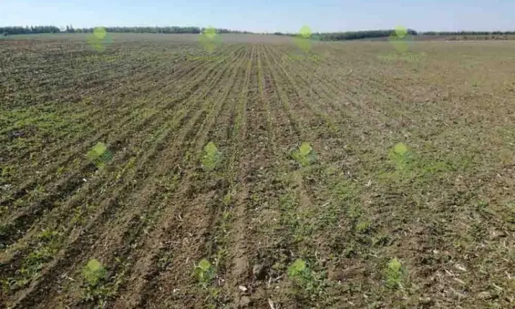 Verti-till турбокультиватор green wave 3, 9 м - фото № 4