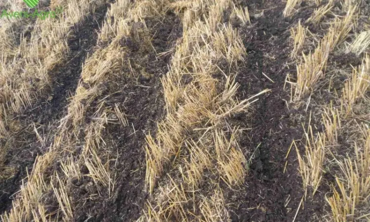 Очиститель рядка на сеялку John Deere 1745 - фото № 4