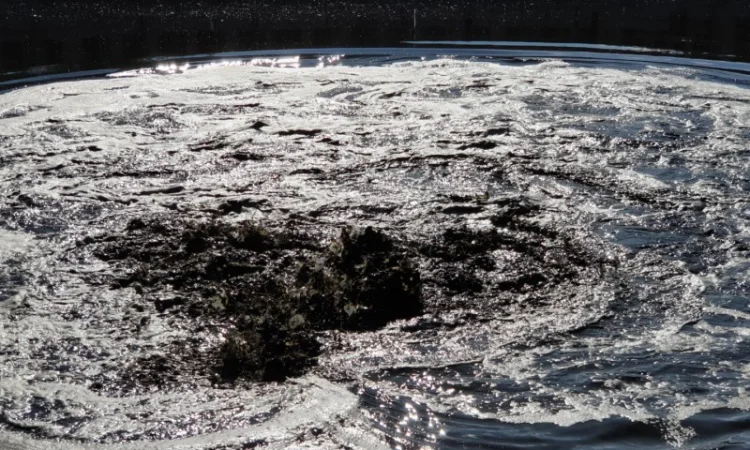 Погружной миксер для навоза Stallkamp TMR3D (Германия) - фото № 4