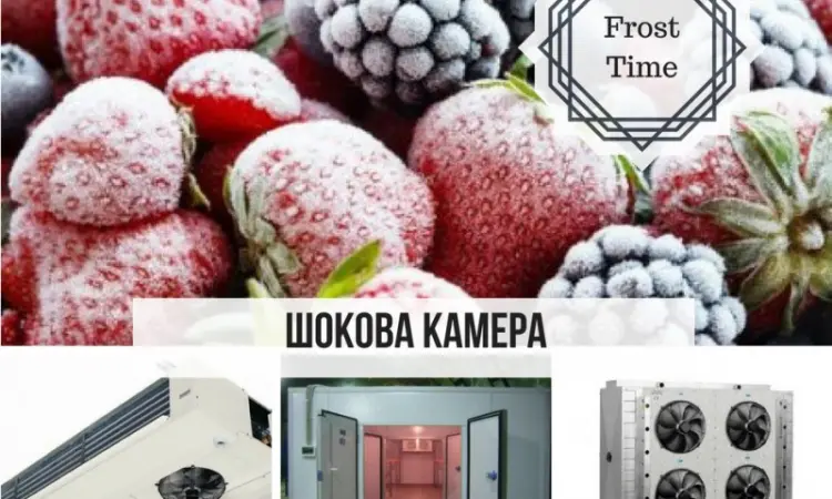 Шокова камера - фото № 3