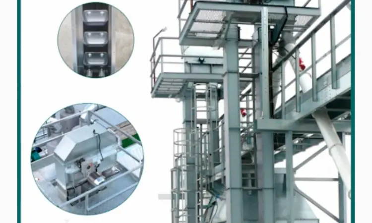 Норія стрічкова зернова - фото № 1