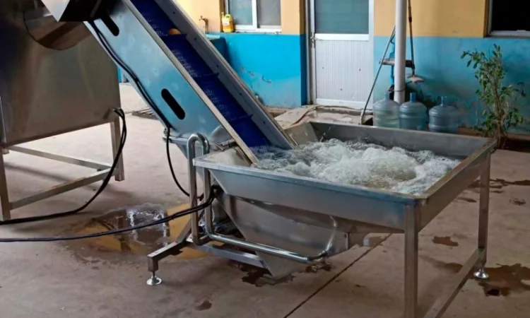 Конвеєр-транспортер для харчових продуктів STvega Elevator H320 - фото № 1