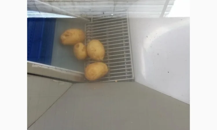 Конвеєр-транспортер для харчових продуктів STvega Elevator H320 - фото № 5