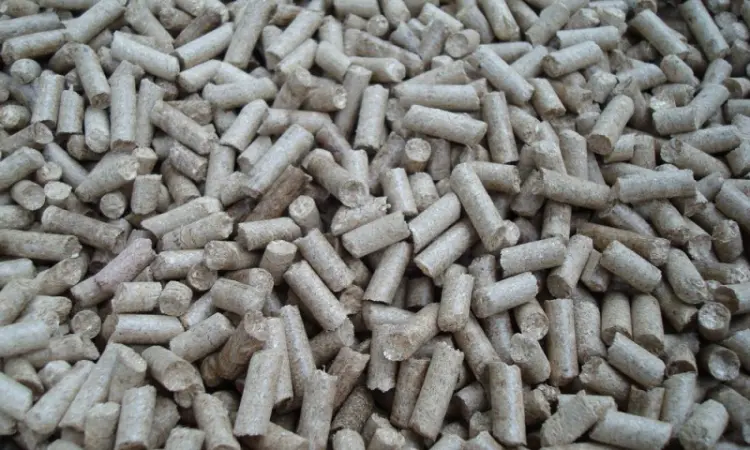 Пресс - грануляторы биомассы MG 100/200/400/600/800/1000 (Чехия) - фото № 4