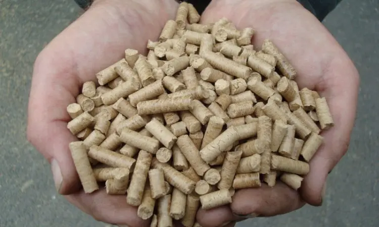 Пресс - грануляторы биомассы MG 100/200/400/600/800/1000 (Чехия) - фото № 6