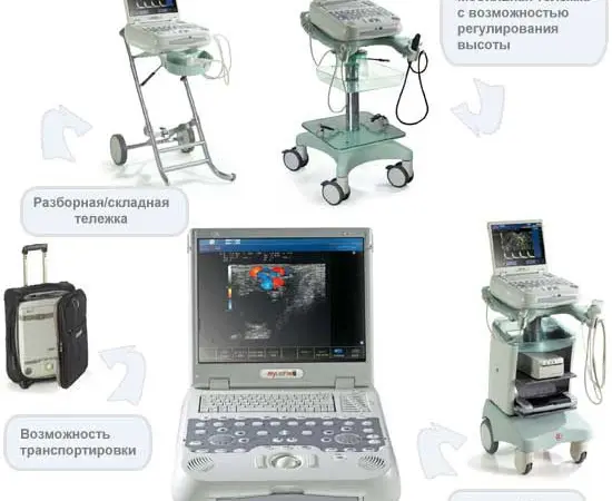 Ветеринарный УЗИ аппарат MyLab Five Vet - фото № 1