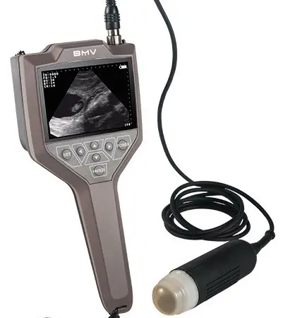 УЗИ сканер для свиноводства FarmScan M30 - фото № 1