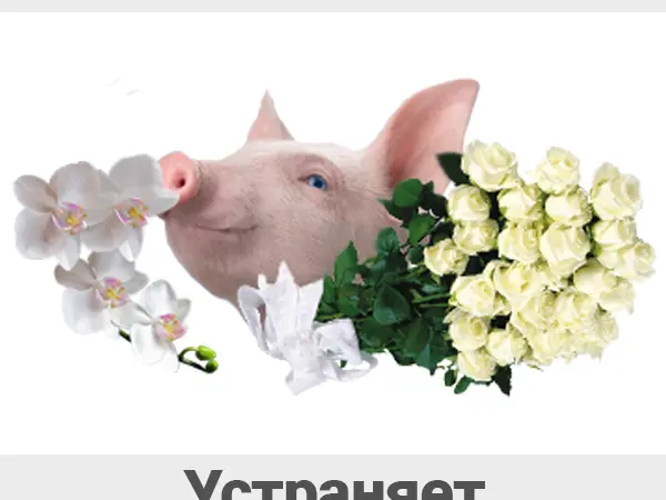 1 кг 1500 грн Ферментационная подстилка для животных и птиц Биоферм - фото № 7