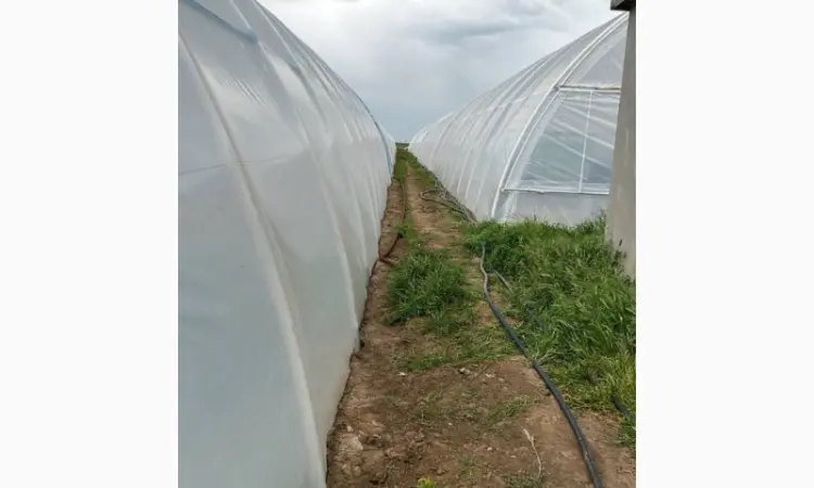 Теплична плівка Vatan Plastik - найкраща якість Турція 2023 - фото № 1