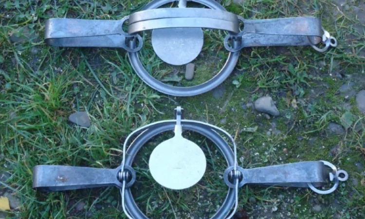 Капкан Барнаул 3 - фото № 1