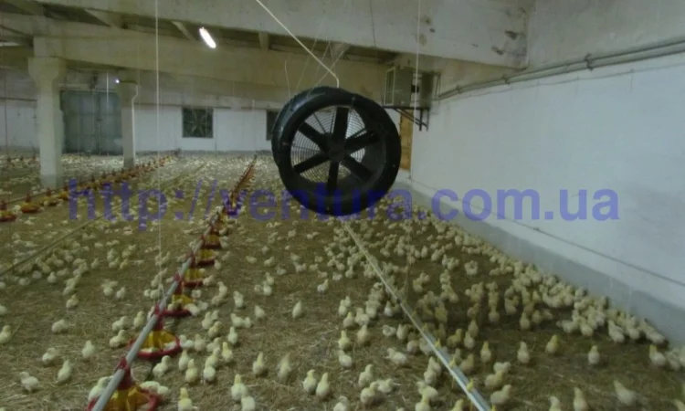 Оборудование для птичников - фото № 5