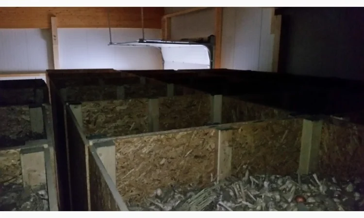 Хранилище чеснока - фото № 1