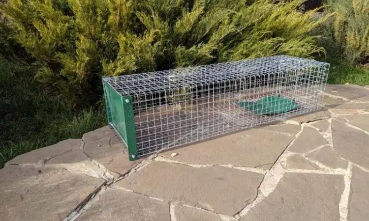 Живоловушка на кота. Метровая живоловка. Котоловка c педалью. Суперкотоловушка - фото № 3