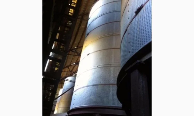 БВ - 25 - фото № 2