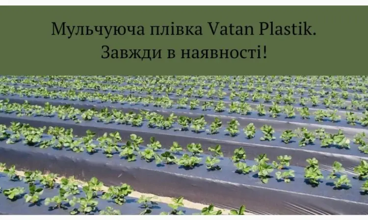 Плівка мульчуюча вторинна/первинна - фото № 1