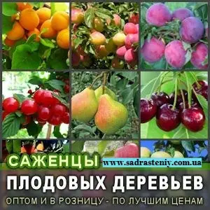 Питомник реализует саженцы на ВЕСНУ 2026 оптом и в розницу на сайте "Сад растений" - фото № 1