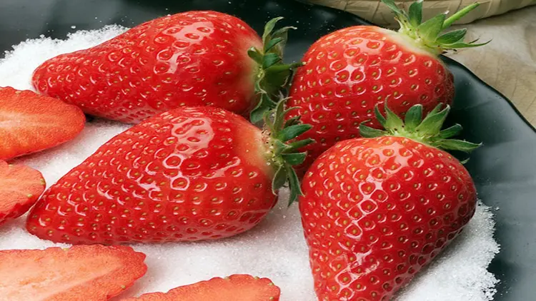 Саджанці полуниці сорту Альба (Alba Strawberry) Фріго - фото № 1