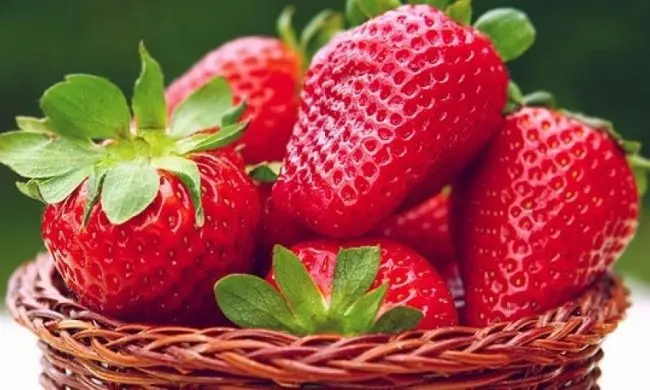 Полуниця Крістіна ( Cristina Strawberry) саджанці полуниці Фріго - фото № 1