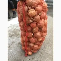 Овощехранилище закупает борщевой набор. От фермеров и менеденжеров с 20 тонн - фото № 3