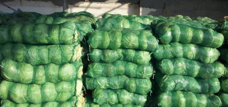 Продаж овочів та фруктів від Китайського постачальника - фото № 19