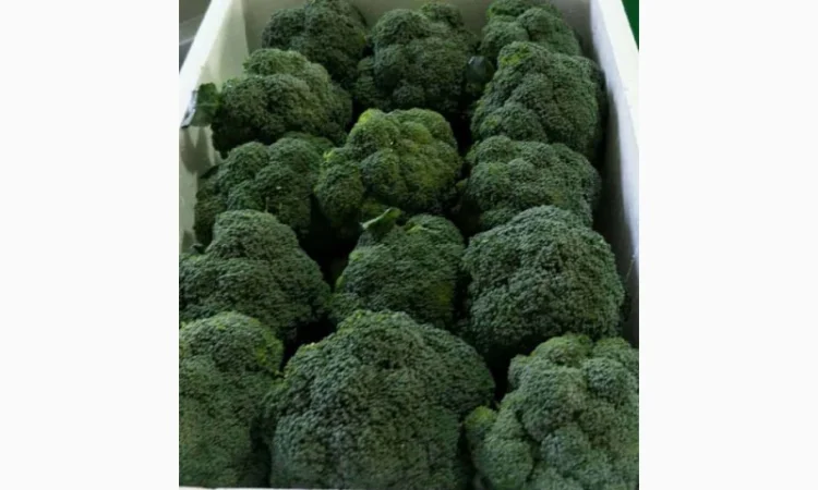 Продаж овочів та фруктів від Китайського постачальника - фото № 16