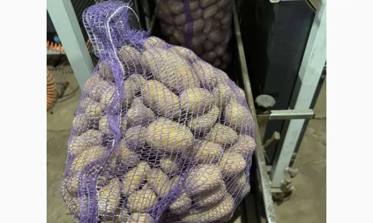Продам продовольчу та насінневу картоплю від Ф.Г - фото № 15