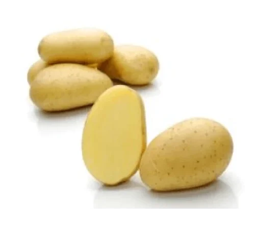 Семенний картопля Мелоді 5 кг на продаж - фото № 1