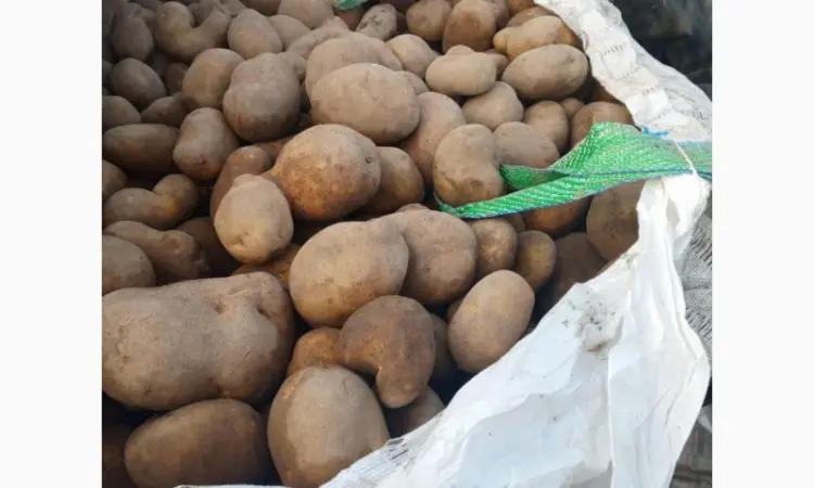 Продаж картоплі з Польщі гуртом великими партіями - фото № 1