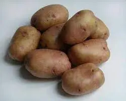 Продам семенной картофель.2 репродукция - фото № 1
