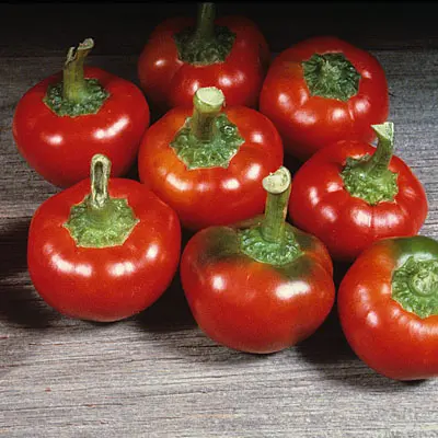 Продам семена Перец Черри красный острый - фото № 1