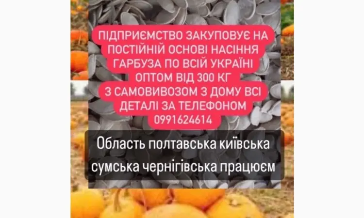 Насіння габруза куплю - фото № 1