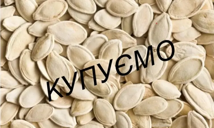 Покупаем семена тыквы тыквенные семечки - фото № 1