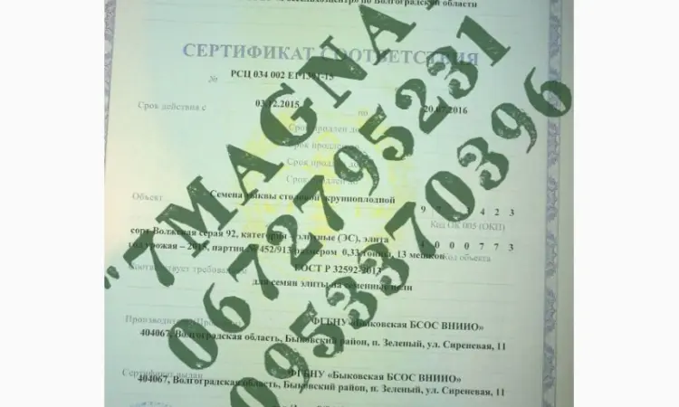 Посевмат Элита тыквы Сероволжская 92 - фото № 2