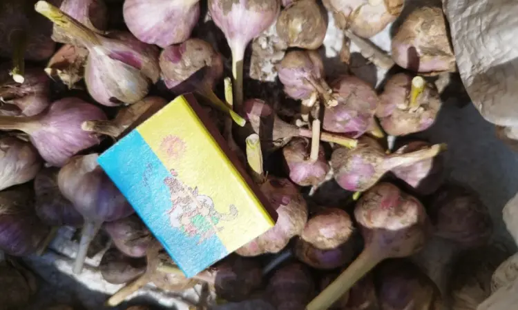 Продам чеснок озимый большой и на посадку 1 репродукции - фото № 5
