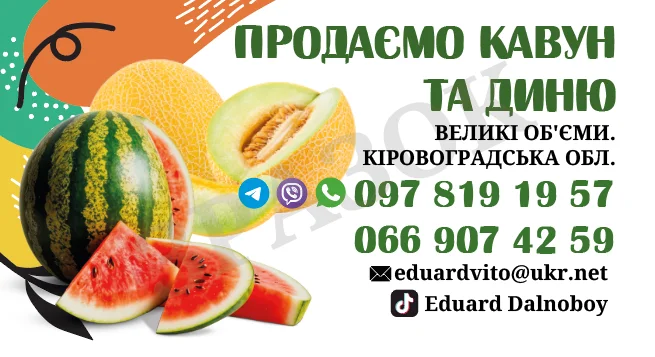 Кавуни та дині на продаж - фото № 1