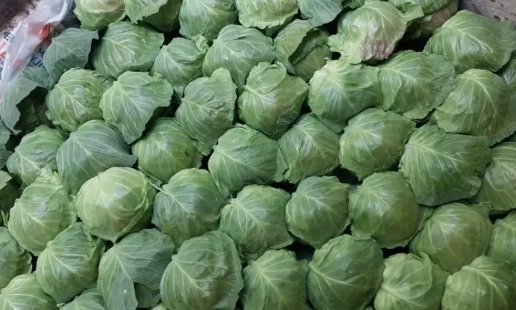 Продам молодую капусту - фото № 5