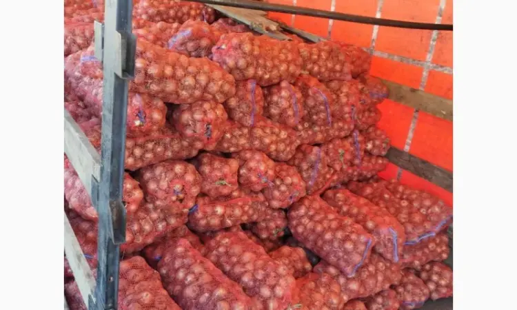Продам Лук Оптом, Сорт Легенд - фото № 4