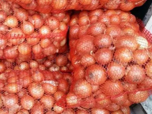 Продажа оптового товарного лука - фото № 1