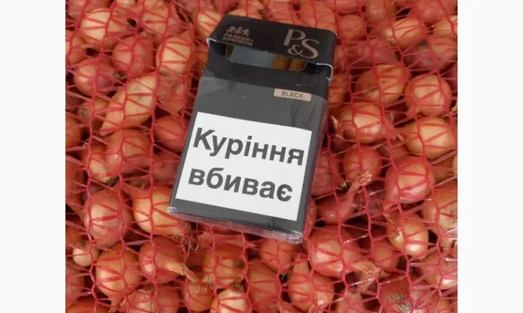 Продаём лук севок на постоянной основе - фото № 11