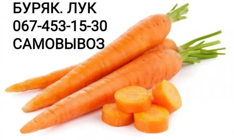 Куплю морковку МОРКВУ дорого0 - фото № 1