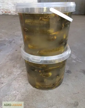 Солоний Огірок - фото № 1