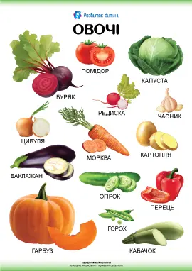 Продаем Овощи - фото № 1